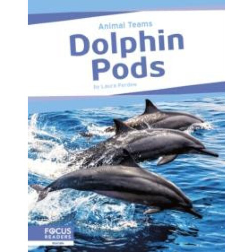 Dolphin Pods by Laura Perdew Hardcover Book