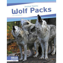 Wolf Packs by Lisa Bullard Paperback Book