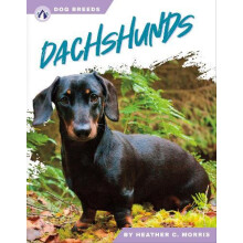 Dachshunds by Heather C. Morris Hardcover Book