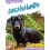 Dachshunds by Heather C. Morris Hardcover Book 1