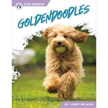 Goldendoodles by Libby Wilson Hardcover Book