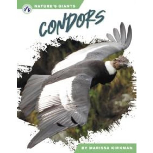 Condors by Marissa Kirkman Hardcover Book
