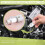 Servostyrningsbrytare Trycksensor för /Clio/Megane/Laguna /Kangoo 497610324R 4
