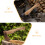 2Pcs Brown Wood Handles Sturdy Replacement Grip for Practical Use 7