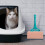 4Pcs Plastic Cat Litter Scoop Holders Stable Scoop Storage for Home 3