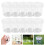 48Pièces Boîtes Portables Observation Animaux Petits Transparentes 9