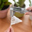 100 Plastic Ademend Plantenaccessoire 3