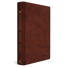 ESV Everyday Gospel Bible Other Book