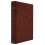ESV Everyday Gospel Bible Other Book 1