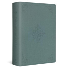 ESV Chronological Bible Other Book