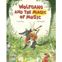 Wolfgang and the Magic of Music by Didier Levy Paperback Book
