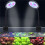 USB Small Fish Tank Light Variable Color Dimming Clip Light Led Light Aquarium Light Water Grass Light Fish Tank Light 2