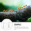 Acrylic Clear Ants Water Feeding Bowl Durable Accessory 5