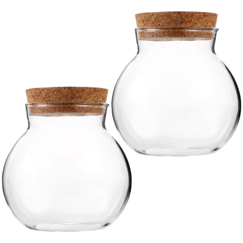 8Pcs Creative Shape Glass Micro Moss Terrarium Bottles for Home Decor