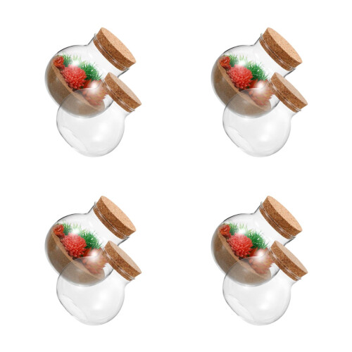 8Pcs Creative Shape Glass Micro Moss Terrarium Bottles for Home Decor 1