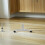 Vrijstaande Room Divider Basis Aluminium En Plastic 6