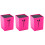 3St Schaarcasus Rosé Haarwerksalon Accessoires Opbergdoos 4