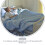 2Ensembles Portable En Mesh Noir Pour Drainage Post-Chirurgical 7
