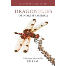 Dragonflies of North America by Ed Lam Paperback Book