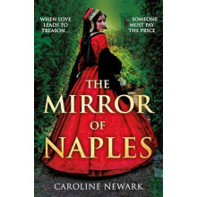 The Mirror of Naples by Caroline Newark Paperback Book