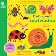 Dwin Gweld Malwoden I Spot a Snail by Kay Vincent Other Book