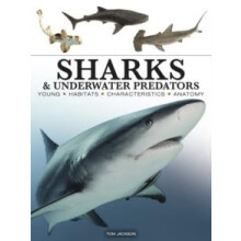 Sharks amp Underwater Predators by Tom Jackson Paperback Book