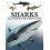 Sharks amp Underwater Predators by Tom Jackson Paperback Book 1