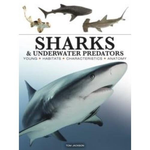 Sharks amp Underwater Predators by Tom Jackson Paperback Book