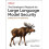 The Developers Playbook for Large Language Model Security by Steve Wil 1