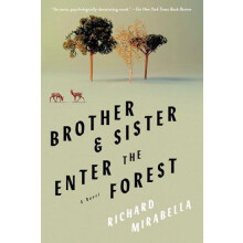 Brother amp Sister Enter the Forest by Richard Mirabella Paperback Boo