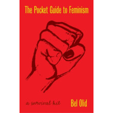 The Pocket Guide to Feminism by Bel Olid Paperback Book