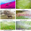 50PCS Adjustable Garden Drip Irrigation Misting Nozzle Micro-Flow Dripper Spray Gardening Tools 2