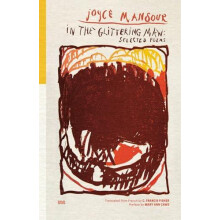 In the Glittering Maw by Joyce Mansour Paperback Book