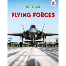 Flying Forces by Paul Stevenson Paperback Book