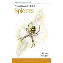 Pocket Guide to British Spiders by Richard Lewington Paperback Book