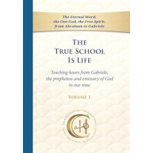 The True School Is Life Volume 1 by House Gabriele Publishing Paperbac