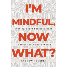 Im Mindful Now What by Andrew Holecek Paperback Book