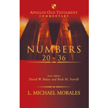 Numbers 2036 by L Michael Morales Hardcover Book