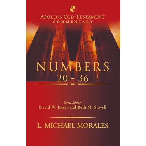 Numbers 2036 by L Michael Morales Hardcover Book