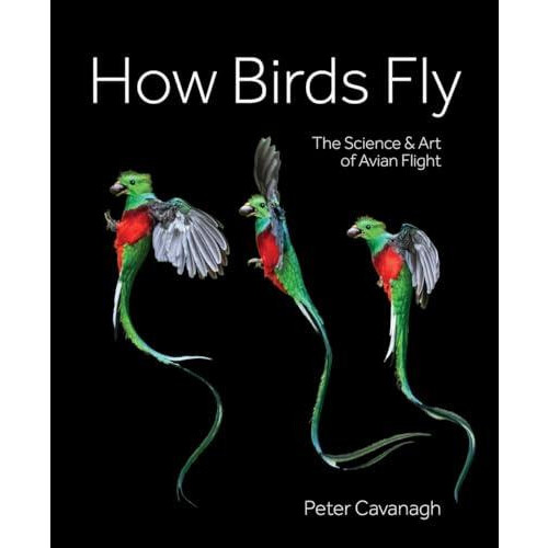 How Birds Fly by Peter Cavanagh Hardcover Book