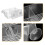 2Pièces Boîte D'élevage Poisson Transparent ABS Léger Avec Ventouses 9