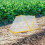3Pcs Durable Foldable Garden Bed Covers White Plastic 11