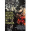 Digital Memory Agents in Canada Paperback Book 1