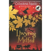 Y Llwynog Melfed by Catherine Fisher Paperback Book