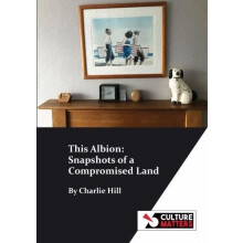 This Albion Snapshots of a Compromised Land by Charlie Hill Paperback