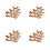 4Pièces Support Haltères PP Rangement Compact Organiseur Gym 6