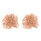 2Pcs Reusable Khaki Ceramsite Fish Tank Filter Purifying Balls 8