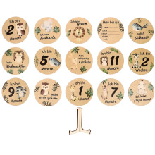 5Sets Holzscheiben Baby Monatskarten Für Babyzimmer