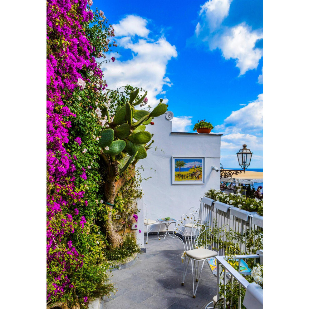Directplants The Mediterranean Style Border Selection Established In Large 3 Litre Pots By Direct Plants Pack Of 6