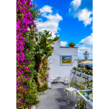 The Mediterranean Style Border Selection Established in Large 3 Litre Pots By Direct Plants Pack of 18